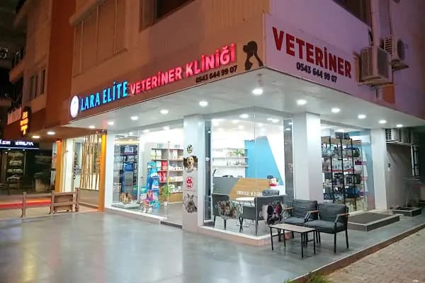 Lara Elite Veteriner Kliniği - Antalya Nöbetçi Veteriner - Ветеринарная клиника - Veteriner - Antalya Konyaaltı