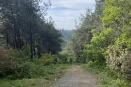 Arnavutköy Belediyesi Temizlik İşleri Müdürlüğü Garajı