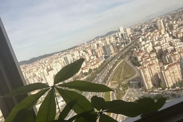 AZT Clinic - Estetik Cerrahi Kliniği - İstanbul Ataşehir