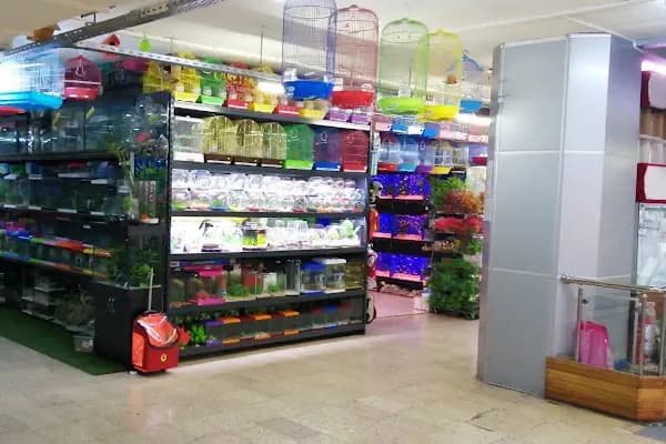 Caretta Pet Shop - Evcil hayvan mağazası - Ankara Altındağ
