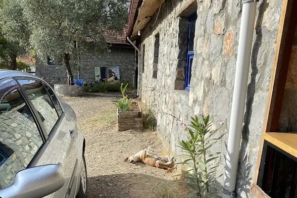 togo iztuzu stonehouse - Kat Hizmeti Sunulan Konaklama - Muğla Ortaca