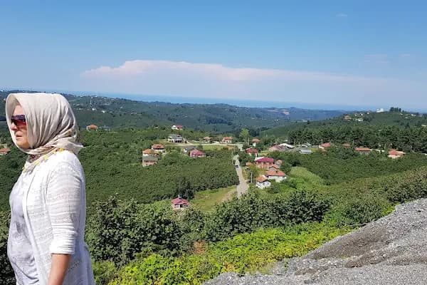 Kestanepınarı Köy Mezarlıgı - Mezarlık - Sakarya Kocaali