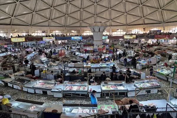 BİM Cihangül - Süpermarket - İstanbul Arnavutköy