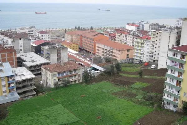 Ktü Trabzon Myo - Üniversite - Trabzon Akçaabat