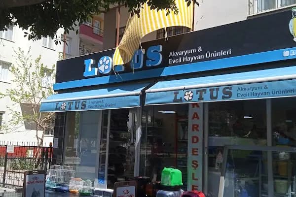 Lotus Akvaryum ve Evcil Hayvan Ürünleri - Akvaryum Mağazası - Adana Sarıçam