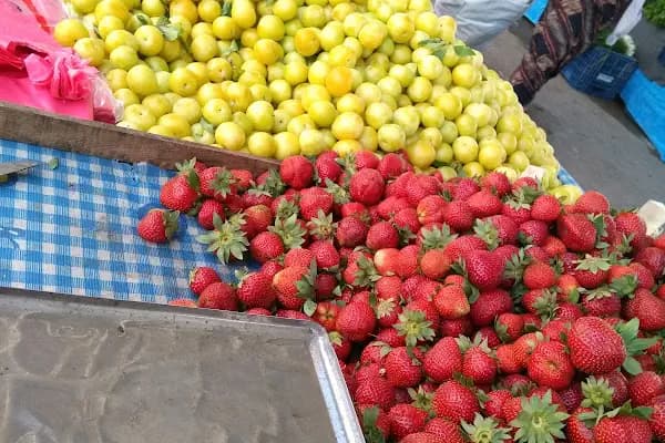 Emin Civelek Semt Pazarı - Pazar - Adana Çukurova