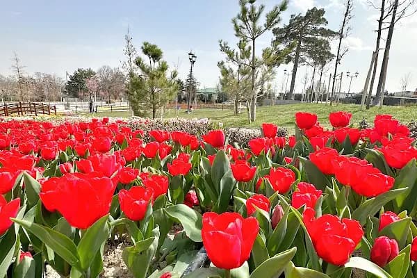 KONYA MERAM BAĞLARI - Piknik Alanı - Konya Hadim