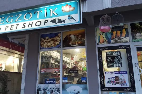 Egzotik Pet Shop Çerkezköy - Evcil Hayvan Malzemeleri Mağazası - Tekirdağ Kapaklı