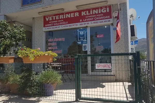Turgutreis Veteriner Kliniği - Veteriner - Muğla Bodrum