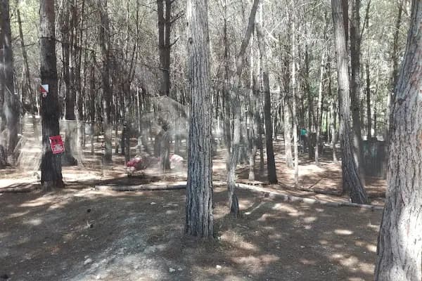 DOSAM Paintball - Paintball Merkezi - Antalya Kepez