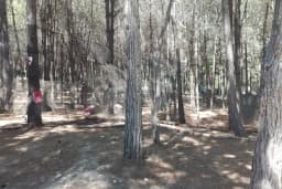 DOSAM Paintball