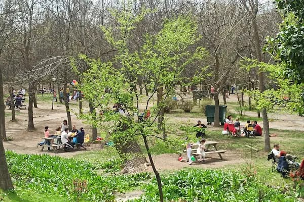 Tenis Kortları Çimleri - Tenis Kortu - Ankara Çankaya