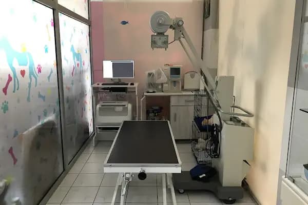 Anatomi Veteriner Kliniği - Veteriner - Antalya Alanya