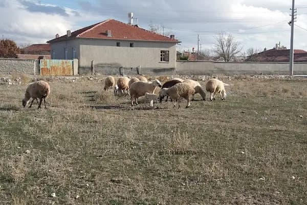 Alpet - Benzin İstasyonu - Konya Altınekin