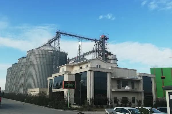 Omnia Nişasta San. ve Tic. A.Ş. - Gıda Üreticisi - Adana Seyhan