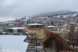 Desen Apartmanı