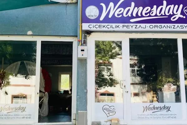 Wednesday Organizasyon Beypazarı - Organizasyon Şirketi - Ankara Altındağ