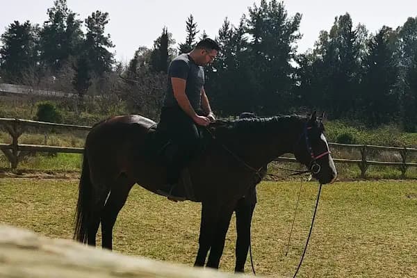 Çukurova Üniversitesi Atlı Spor Kulübü - Spor Kulübü - Adana Sarıçam