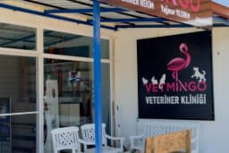 Vetmingo Veteriner Kliniği