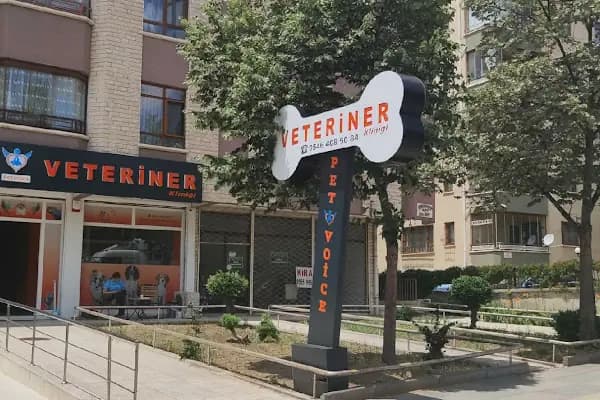 PETVOİCE VETERİNER KLİNİĞİ - Veteriner - Ankara Çankaya