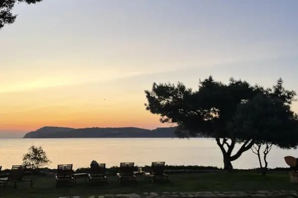 Madam Sofia Cafe &amp; Bar - Kafe - İstanbul Adalar