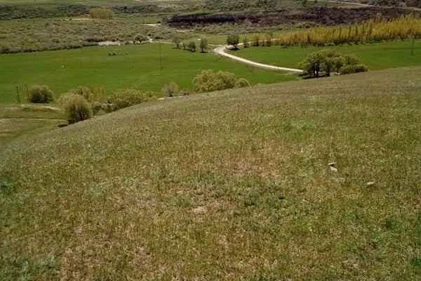 Gökçebük - Yerleşim Yeri - Erzurum Aşkale