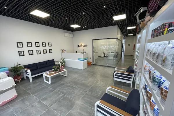 VetSante Veteriner Kliniği - Veteriner - Sakarya Adapazarı