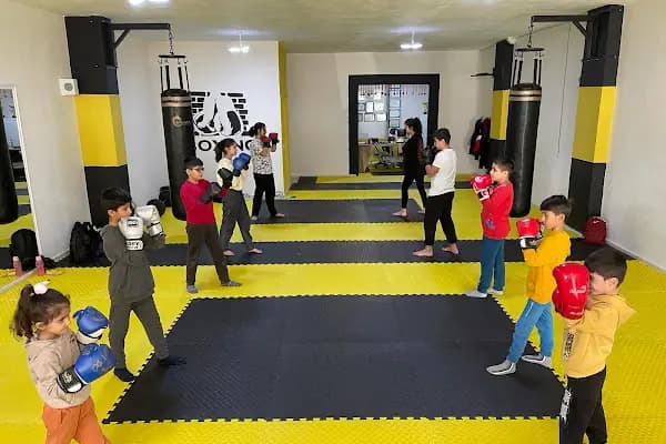 DRAGON FIGHT ACADEMY - Spor salonu - Mardin Artuklu
