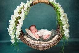 Dreamland Baby Studio