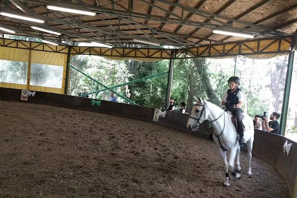 İstanbul Atlı Spor Kulübü - Spor kompleksi - İstanbul Sarıyer