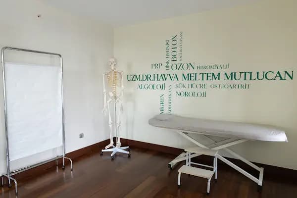 Dr.Havva Meltem Mutlucan - Nörolog - İstanbul Ataşehir