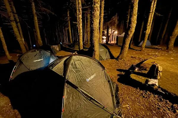 Sarıalan Kamp Alanı - Park - Bursa Osmangazi