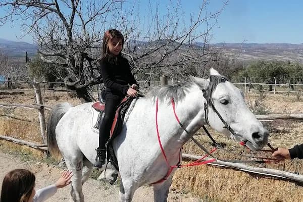Otantik at çiftliği - At Eğitmeni - Gaziantep Şahinbey