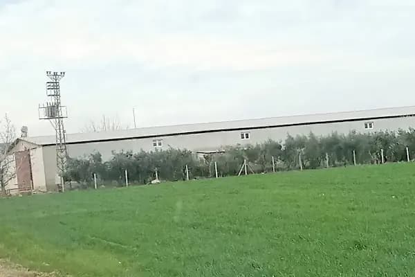 KOMOLİVA Tarım Pirina ve Bitkisel Yağ San. Tic.AŞ. - Geri Dönüşüm Merkezi - Adana İmamoğlu