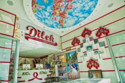 Foto dilek