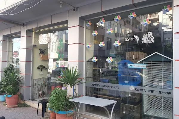 Kiran Akvaryum Pet Shop - Evcil hayvan mağazası - Mersin Erdemli