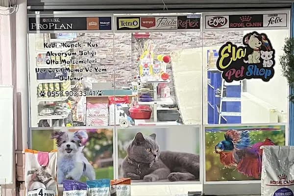 Ela Petshop - Evcil hayvan mağazası - Kocaeli Çayırova