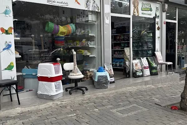 BAL PetShop - Evcil Hayvan Malzemeleri Mağazası - İstanbul Avcılar