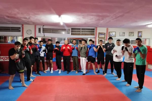 KARMA DÖVÜŞ SANATLARI FEDERASYONU -KDS - Spor salonu - Mersin Mezitli
