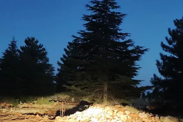 Rotasız Gezginler Kamp Alanı 2 - Kamp Alanı - Gaziantep Şahinbey