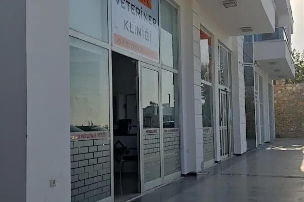 Uyar Veteriner Kliniği - Acil Durum Veterinerlik Hizmeti - Antalya Alanya