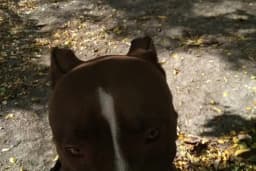 Küçükçekmece Şelale Parkı