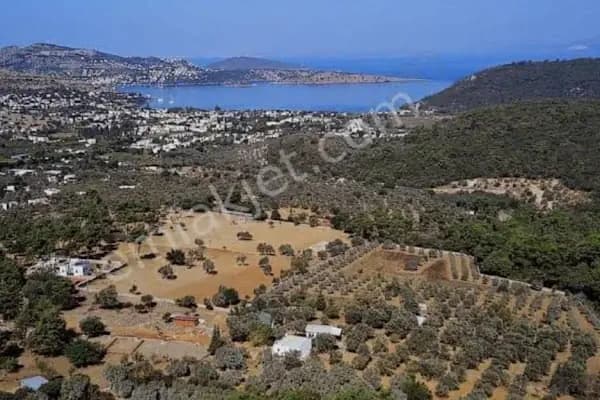 BODRİUM REAL ESTATE - Resim 9