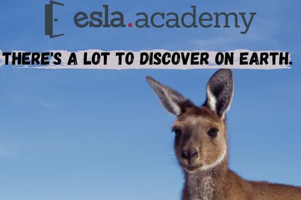 Esla Academy - Dil Okulu - İzmir Aliağa