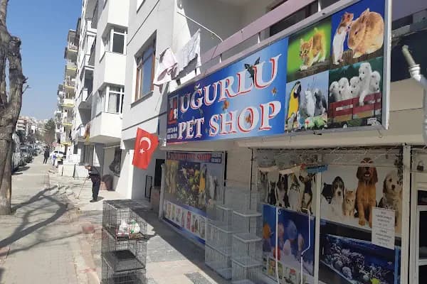 uğurlu pet shop - Evcil hayvan mağazası - Ankara Altındağ