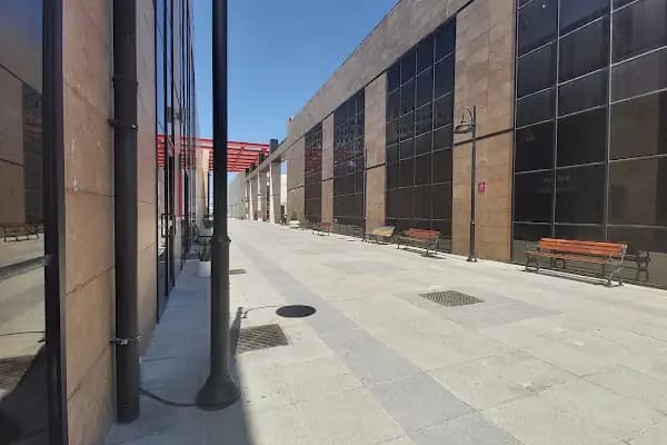 İstanbul Üniversitesi Spor Bilimleri Fakültesi - Okul - İstanbul Ataşehir
