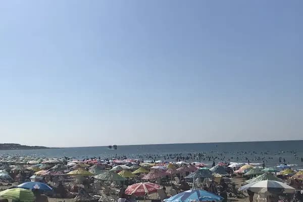 Cebeci Vakıf kamp alanı - Kamp Alanı - Kocaeli Kandıra