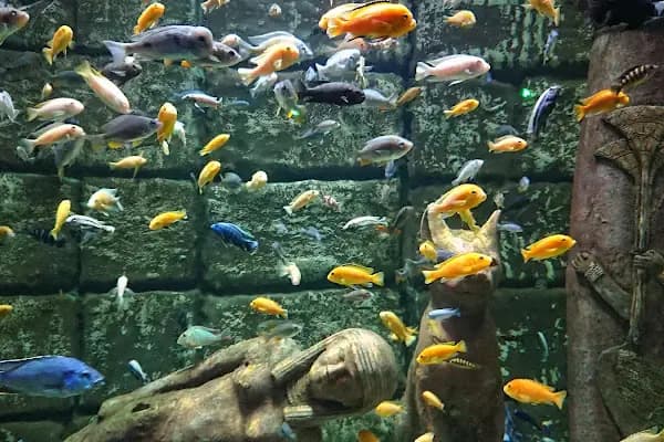 Antalya Aquarium - Akvaryum - Bursa Osmangazi