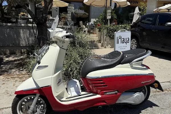 Bitez, Bodrum - Sağlıklı Yemek Restoranı - Muğla Bodrum