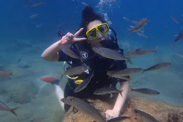 Alanya Magic Dive - Dalış Merkezi - Antalya Alanya